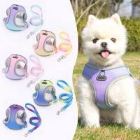 Juego de arnés y correa reflectantes ajustables para mascotas, perros pequeños y medianos, arnés de paso con Material suave y transpirable - details 1