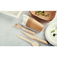 EXZACT Disposable Wooden 150 Pieces
