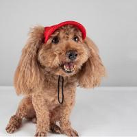 Cómodo sombrero de béisbol para mascotas de Color sólido ajustable con orificios para las orejas gorra para perros protección solar transpirable sombrero para el sol para perros para el verano - details 11