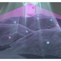 Aspirador de Ácaros Dos en Uno Eliminador de Ácaros Doméstico para Dormitorio con Estérilización Ultravioleta - details 8