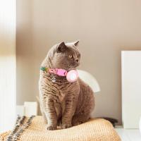 Collar ajustable Bling con campana para gato, collares de lujo para perros y gatos pequeños con funda para Apple Airtag, accesorios para gatos - details 3