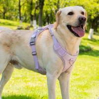 Arnés reflectante para perro, chaleco ajustable, correa de pecho para perro antidesprendimiento, transpirable con mochila, conjunto de arnés y correa para perro al aire libre - details 9
