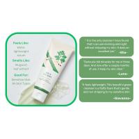 Mugwort Cleanser