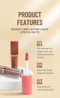 Juego de 12 brillos de labios de libro, esmalte de labios mate aterciopelado antiadherente, barra de labios - details 1