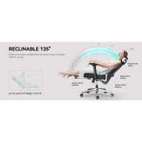 silla ergonomica escritorio