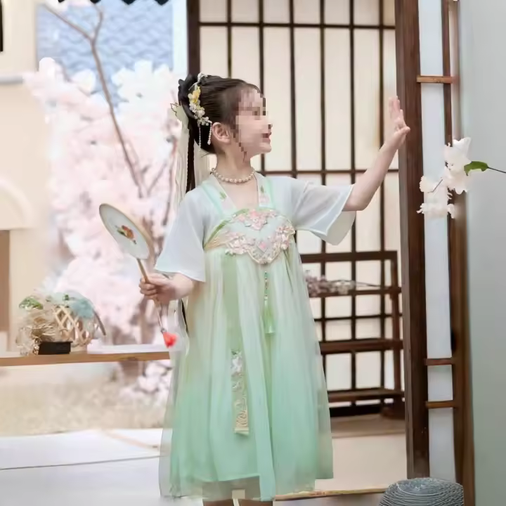 Hanfu-vestido de gasa bordado de estilo nacional Tang, manga corta, antiguo, súper inmortal, verano, 2025 - 1