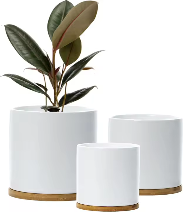 Juego de maceta de cerámica para interior, maceta blanca, contenedor de maceta de cerámica para exteriores, tamaño mediano con platillo (blanco) - 1