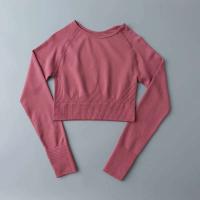 Conjunto de Yoga sin Costuras de FIESS Ropa De Gimnasio para Mujeres Shorts, Sujetador, Leggings - details 39