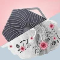 brush scrub bath wash shower scrubber exfoliating sponge skin loofah silicone soap exfoliator scalp