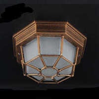 Lámpara de techo empotrada de vidrio esmerilado rústico para exteriores, luces de patio, balcón, jardín, estilo europeo, accesorio de tasa IP Exterior - details 4