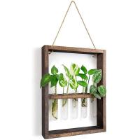 Plantas colgantes montadas en la pared, tubo de ensayo, flor, brote, Terrario de vidrio, marco de madera para el hogar, jardín, decoración de boda - details 0