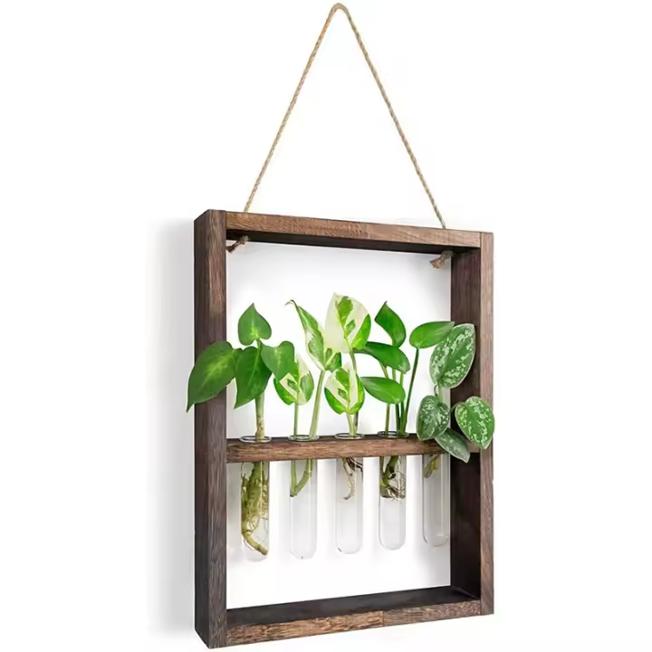 Plantas colgantes montadas en la pared, tubo de ensayo, flor, brote, Terrario de vidrio, marco de madera para el hogar, jardín, decoración de boda - 1