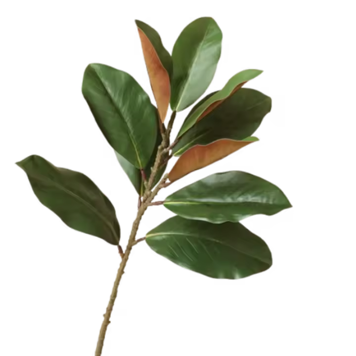 Ramas de hojas de Magnolia artificiales de 57cm, arte Floral de tacto Real, planta de Magnolia falsa, plantas verdes simuladas hechas a mano realistas - 1
