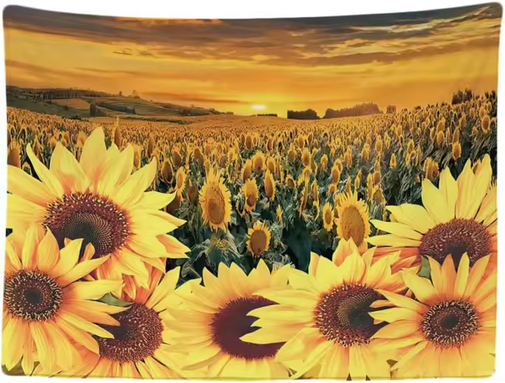 Decoración Casa - Girasol Sol el Verano Flores Grande Murales Alfombra Tapiz Pared - Tapices Decorativo para Habitacion Dormitorio Salon - 1