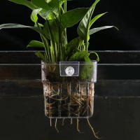 Taza colgante de planta de agua para tanque de peces, promueve la plantación de organismos acuáticos para amapolas de agua y plantas acuáticas - details 5