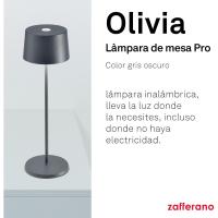 Lámpara, Lámpara de Mesa Portátil y Recargable con Control Táctil, Adecuada para Interior y Exterior, Atenuador, 2200-3000 K, Altura 35 cm, Color Corten - details 11
