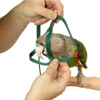 Juguete de entrenamiento al aire libre ajustable portátil, correa de tracción antimordedura, cuerda de entrenamiento para mascotas, arnés para loros, correa para pájaros - details 1
