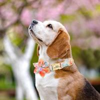 Collar nailon personalizado, collares perro impresos con placa de identificación grabada sin flores para perros pequeños, - details 13