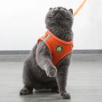 Arnes y correa ajustables y transpirables para mascotas Chaleco a prueba de Escape para gatos - details 25