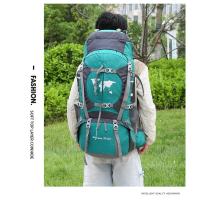 Mochila de senderismo de tela Oxford, alta capacidad, para exteriores, viajes, Camping, soporte, 75 litros - details 13