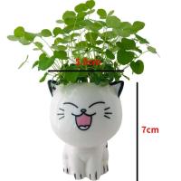 ETA de cerámica con mini gato, hermosas plantas de dibujos animados, ETA de escritorio, juguetes decorativos de bricolaje, educación científica, regalo escolar, 1 pieza. - details 9