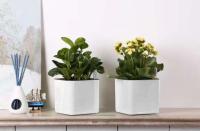 Maceta de plástico cuadrada blanca para jardín, interior, hogar, oficina, planta de autorriego - details 0
