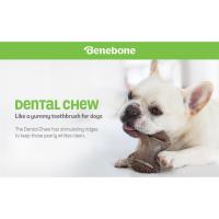 benebone masticable dental