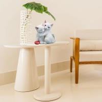 Estatua Decorativa de Gato de Resina Adorna Yardín con Encanto Decoración Luminosa Única para Hogar - details 10