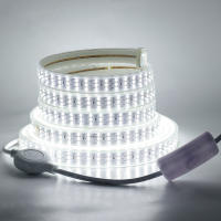 GAHADA Luz de Tira LED Impermeable Flexible 276Leds/M SMD 2835 Blanco Cálido - details 1