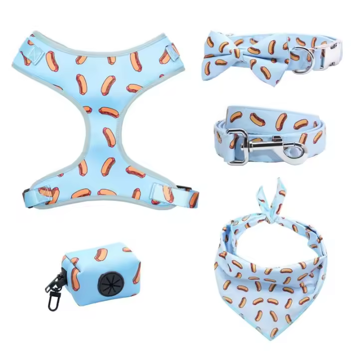 Hotdog Boy Collar de perro personalizado, lazo con correa y arnés a juego - 1