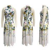 2025 Verano Europa Y Los Estados Unidos Las Mujeres Nueva Moda Cuello De Impresión De La Cintura Delgado Vestido Femenino - details 3
