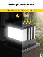 Luz de Poste Solar Moderna RXUNS Lámpara de Columna de Patio Impermeable IP65 Brillo de 300lm - details 17