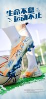 Putian-zapatos de fútbol juvenil con Copa Europea, zapatillas de fútbol de caña baja, sin costuras, con tejido volador, característica de entrenamiento con uñas rotas, 2025 - details 2