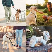 Nylon reflectante de 6 pies con mango acolchado suave, anillo en D adecuado para caminar y entrenar, correa para perros pequeños y grandes - details 6