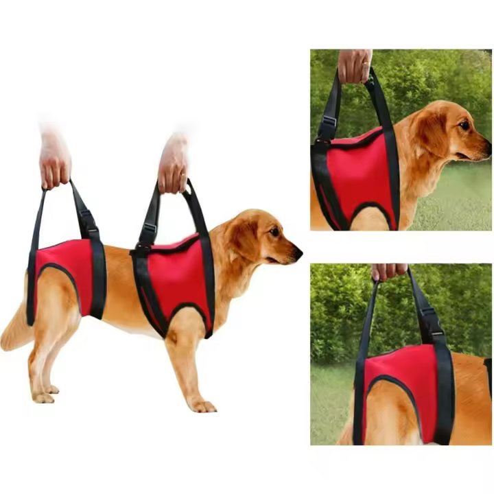 Arnés de Soporte para Perros,Pet Walking Ayuda Lifting Pulling Vest Sling,Soporte y rehabilitación,para patas traseras débiles,Soporte Rehabilitación para Perros Viejos y heridos (Pata Trasera M) - 1
