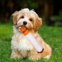 Juguete Masticable de Cigarro para Perros Juguete de Peluche Interactivo para Perros Pequeños y Medianos Suministros para Mascotas - details 3