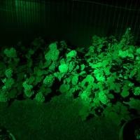 Luces LED de jardín impermeables para exteriores, foco con punta IP65, 3W, 220V, 4 piezas, Lámpara decorativa de paisaje, color verde - details 7