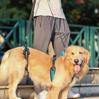 Correa de Protección para Perros Equipo de Apoyo para Perros Mayores Correa Auxiliar para Paseos de Perros Deshabilitados - details 2
