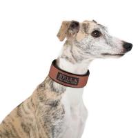 Collar ancho personalizado perros, collares acolchados nailon identificación mascotas, collar nombre de con estampado gratuito - details 16