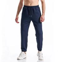 Pantalón de deporte para hombre, pantalón de deporte de gimnasia para hombre, survêfun, curso a pie, entrenamiento, jogging, pantalones largos - details 2