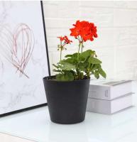Contenedor de plantas, maceta para exteriores de jardín interior, maceta de plástico para vivero de plantas - details 5