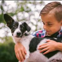El bestseller, Collar Antiladridos para Perros, nivel 7, sensibilidad, vibración, descarga eléctrica - details 5