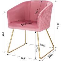 Silla de Comedor Nórdica Vintage Estructura de Metal Dorado con Cojines Rosa BH271rs-1 - details 7
