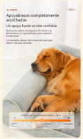 Sofá Cama para Perros - Antimanchas, Fondo Antideslizante, Lavable, en Colores Azul y Gris, Ideal para Perros Grandes - details 4