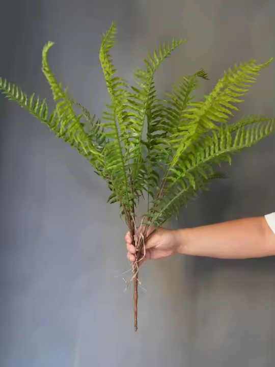 Plantas artificiales de material de PVC para el hogar, hojas de helecho persa verdes falsas, accesorios de decoración del hogar, 1 pieza - 1
