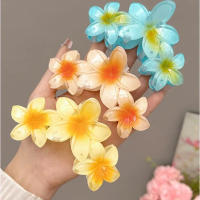 Pinza Para El Cabello De Moda Con Diseño De Flor De Huevo Acrílico Para Mujeres Y Niñas Accesorios De Pelo Para La Playa De Verano Accesorios De Cabeza Sweet - details 12