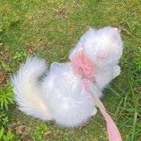 Accesorios para mascotas, arnés para gato de Estilo Princesa, correa transpirable ajustable, correa para el pecho para mascotas, nailon con lazo, chaleco para gato, sesión de fotos - details 1