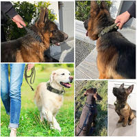 Collar táctico K9 para perro, Correa militar para mascotas, accesorios de entrenamiento para perros medianos y grandes, tamaño ajustable y extraíble - details 18