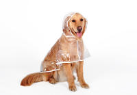 HOOPET-chubasquero para perros grandes y medianos, ropa impermeable para mascotas, chaqueta informal para cachorros - details 8
