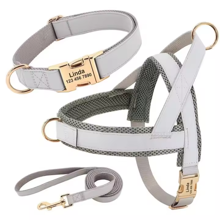 Collar de cuero para Perros, juego de Camisas, Chaleco de Malla para mascotas, Identificación personalizada, cables para Perros Pequeños, medianos y grandes - 1